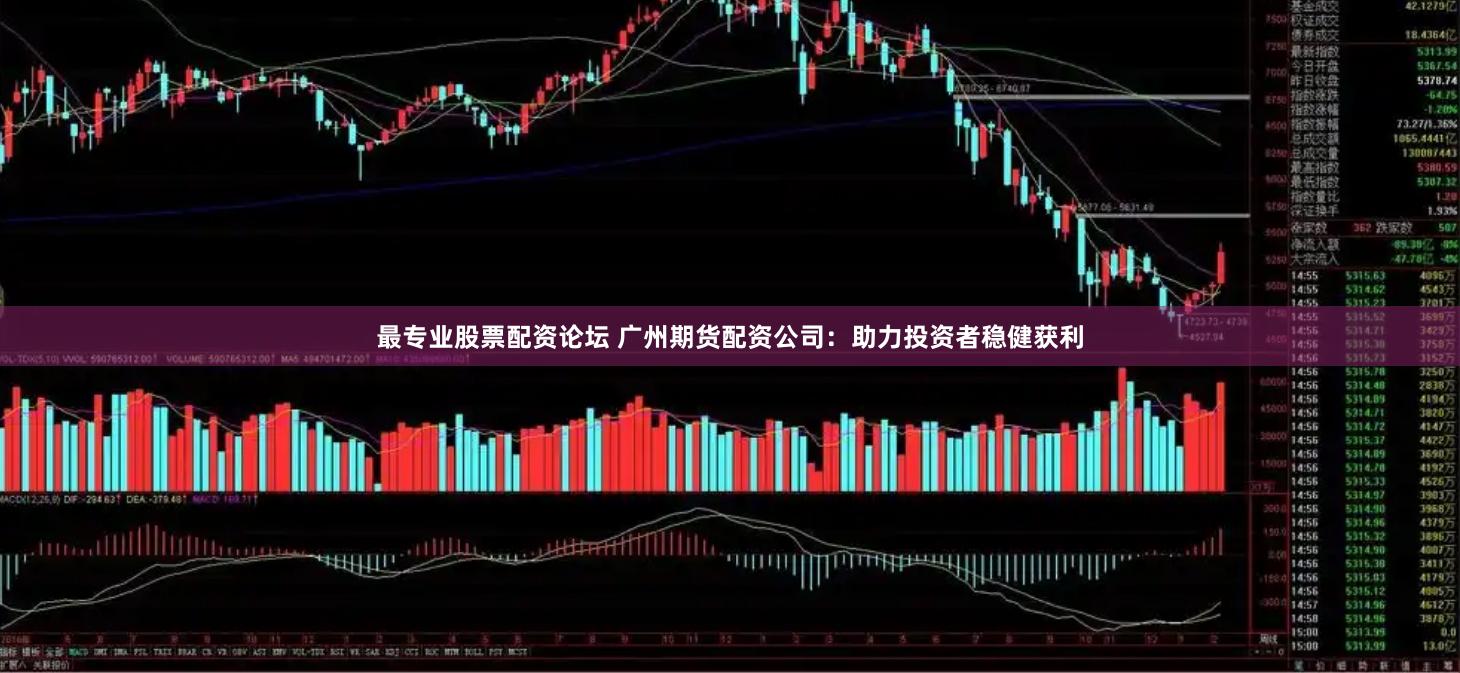 最专业股票配资论坛 广州期货配资公司：助力投资者稳健获利