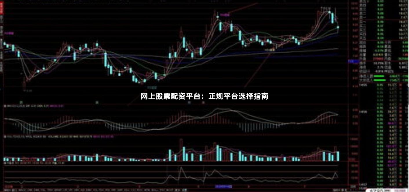 网上股票配资平台：正规平台选择指南